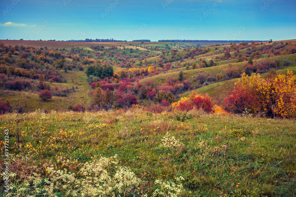 Panoramic view of picturesque fields on hills in autumn