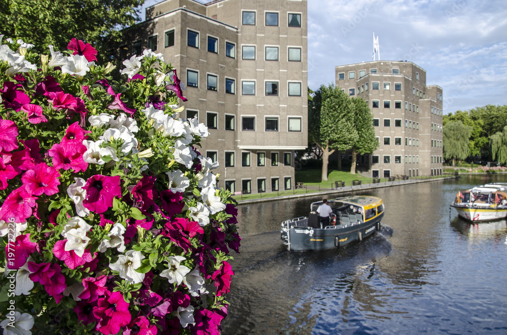 Flowering Amsterdam bridge on the Amstel river