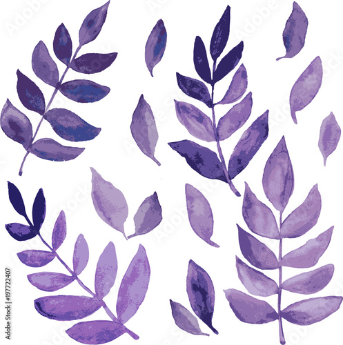 lilac watercolor leaves on white background