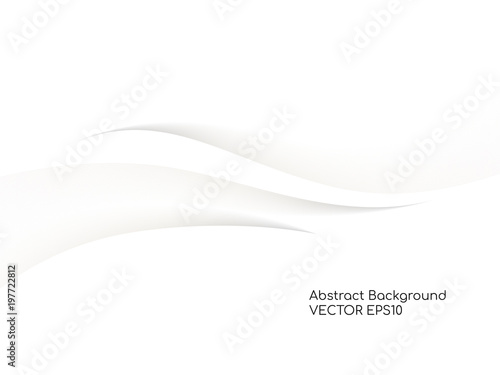 Abstract vector wavy white background with gray color smooth curves wave lines for divider line design elements or background