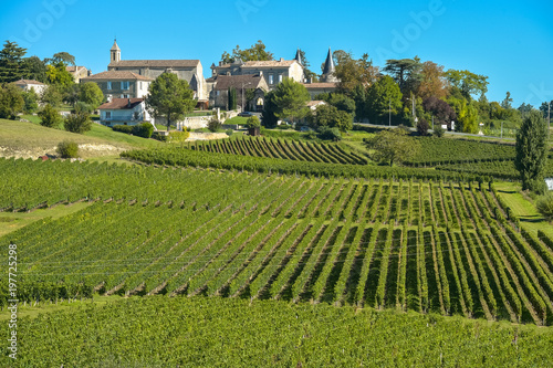 Saint-Emilion-Vineyard landscape-Vineyard south west of France