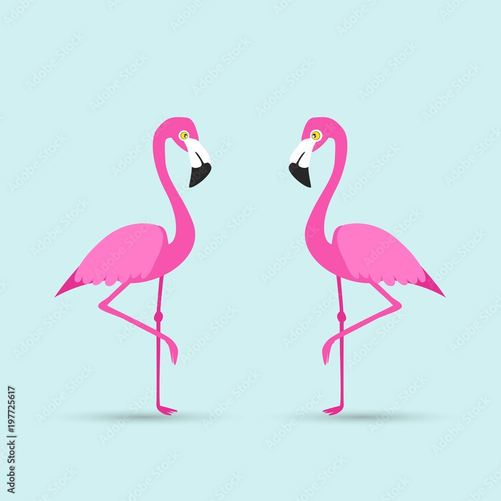 Fototapeta premium Flamingo bird illustration design on background