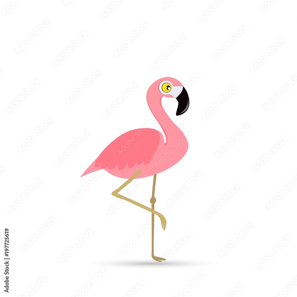Pink flamingo on a white background.