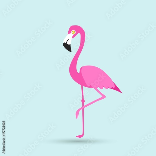 Flamingo bird illustration design on background