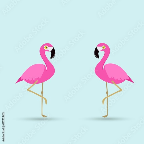 Flamingo bird illustration design on background