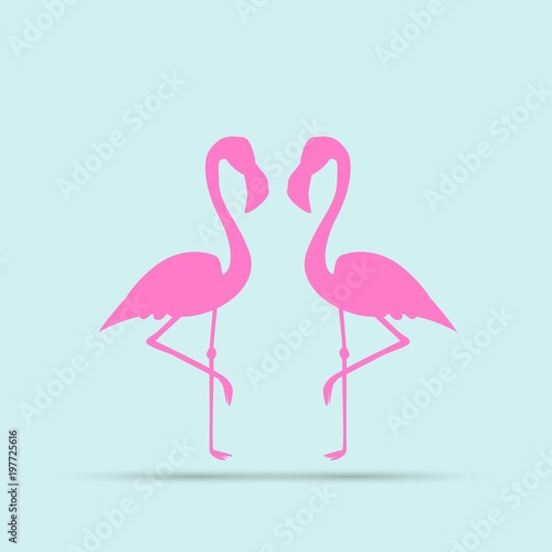 Flamingo bird illustration design on background