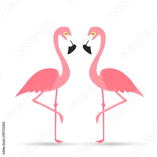 Pink flamingo on a white background.