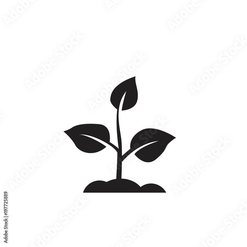 plant icon. sign design