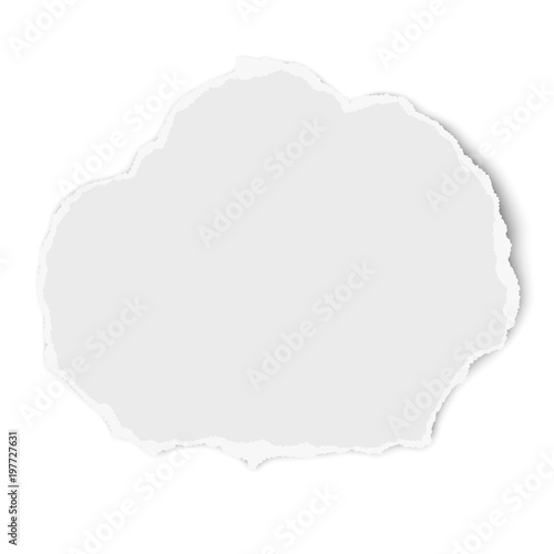 Ripped rounded paper tear isolated on white background. Vector template paper design.