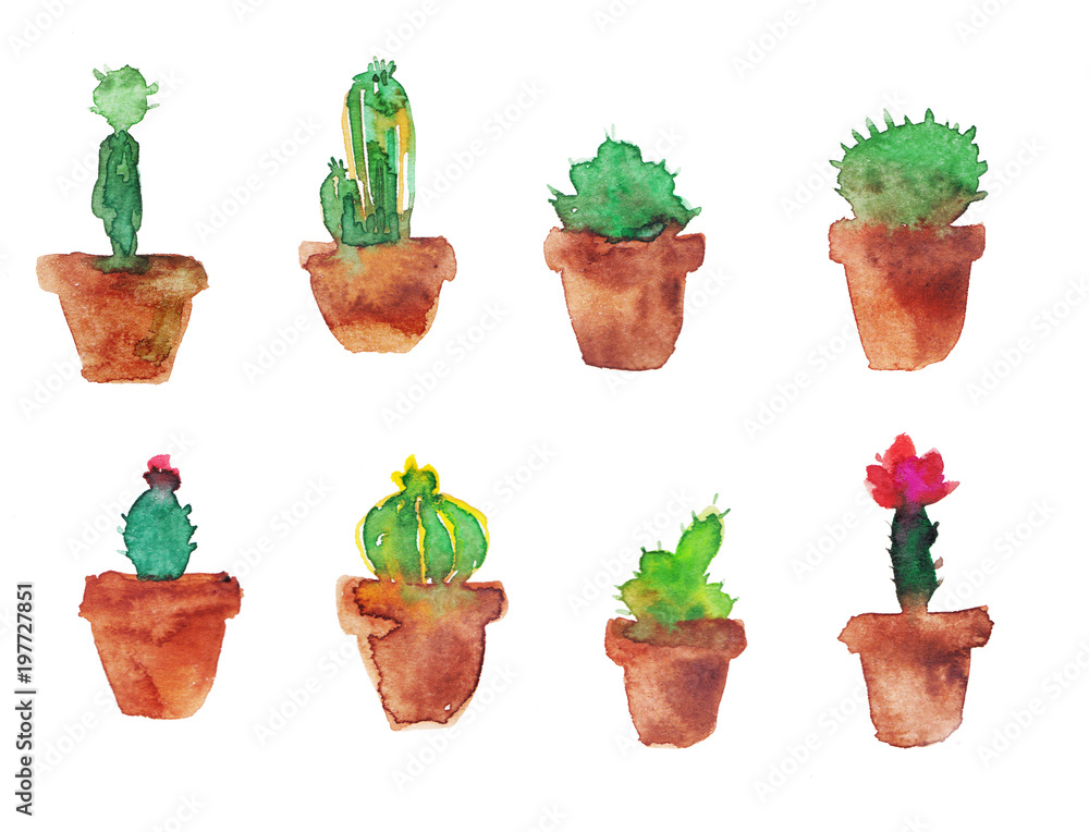 Cactus on a white background. Watercolor illustration Cactus on a white background. Watercolor illustration
