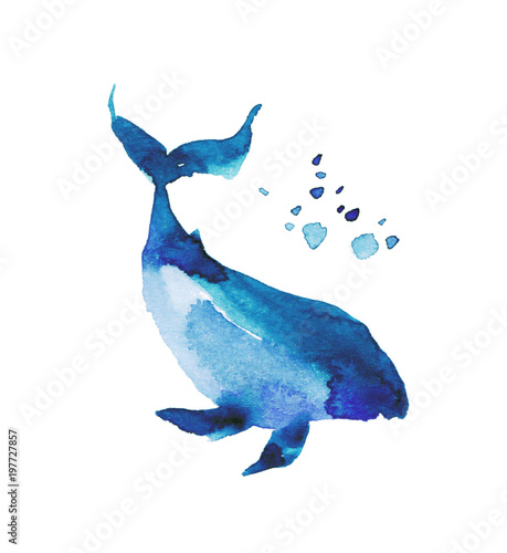 Blue whale on a white background. Watercolor illustration