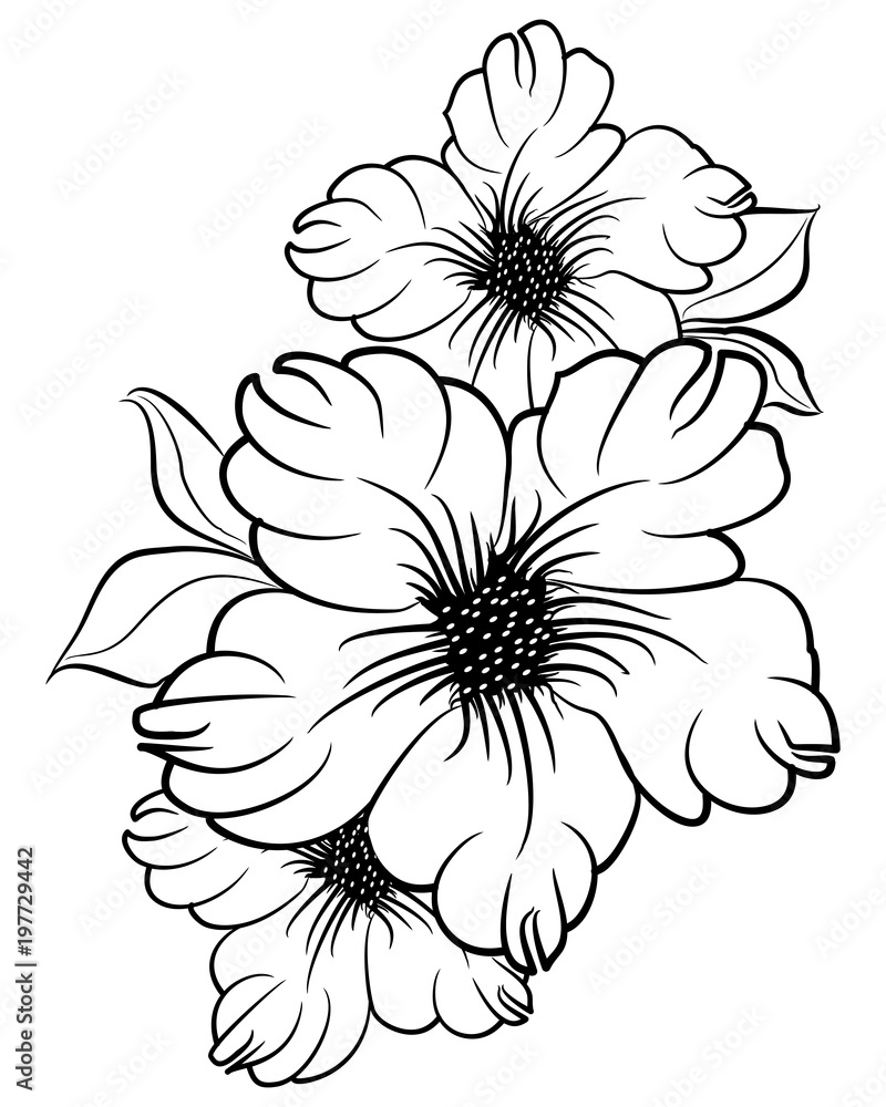 Beautiful silhouette of a flower on a white background. Contour drawing. Element for design and decoration. illustration.
