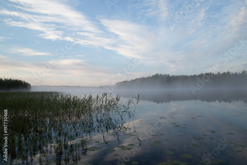 Finnish lake, morning fog, aquatic plants, water reflection