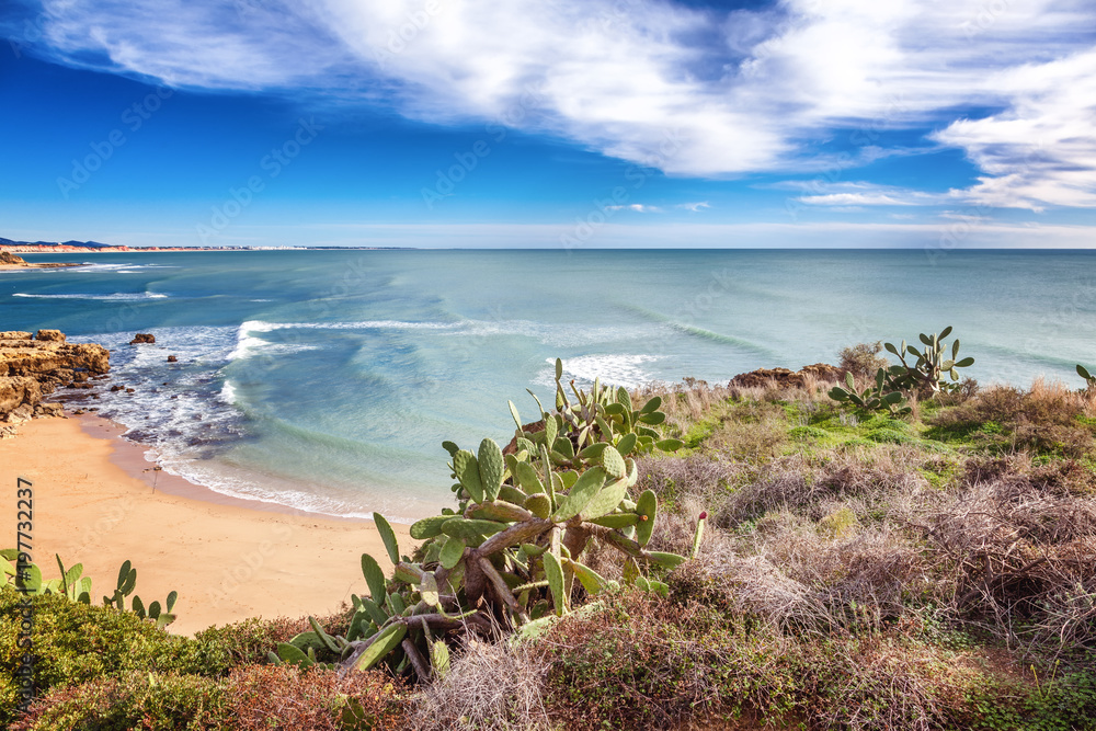 Beautiful coast of the ocean, Algarve, Portugal. Cacti grow on rocks, stunning seascape