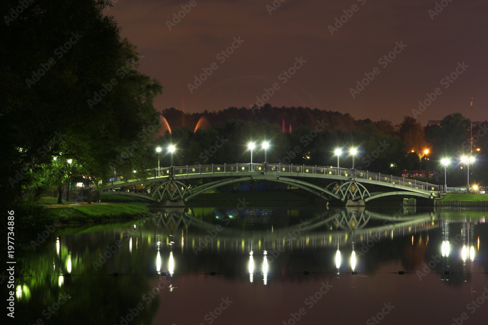 Night illumination at Tsaritsyno Park, Moscow