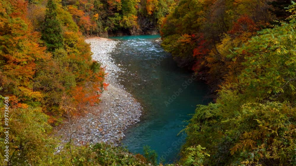 Stream in Forest at autumn / Shirasuna Valley