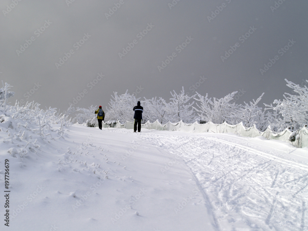Beautiful winter landscape with people