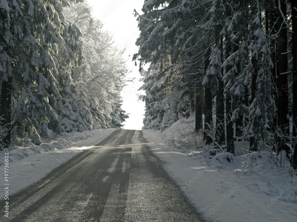 Beautiful winter landscape with snow covered trees Beautiful winter landscape with snow covered trees