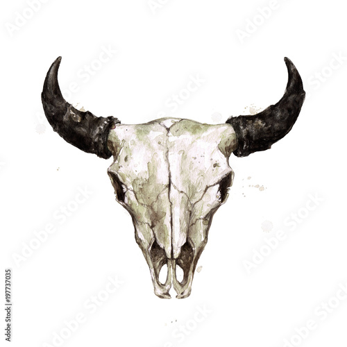 Bison Skull. Watercolor Illustration.