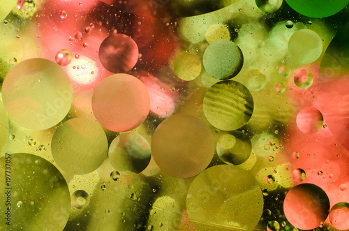 Background of bright colored circles, a close-up shot