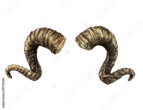 Ram horns. Watercolor Illustration. photo
