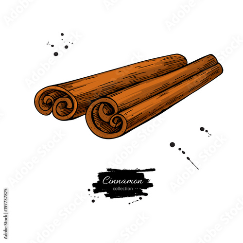 Cinnamon stick vector drawing. Hand drawn sketch.