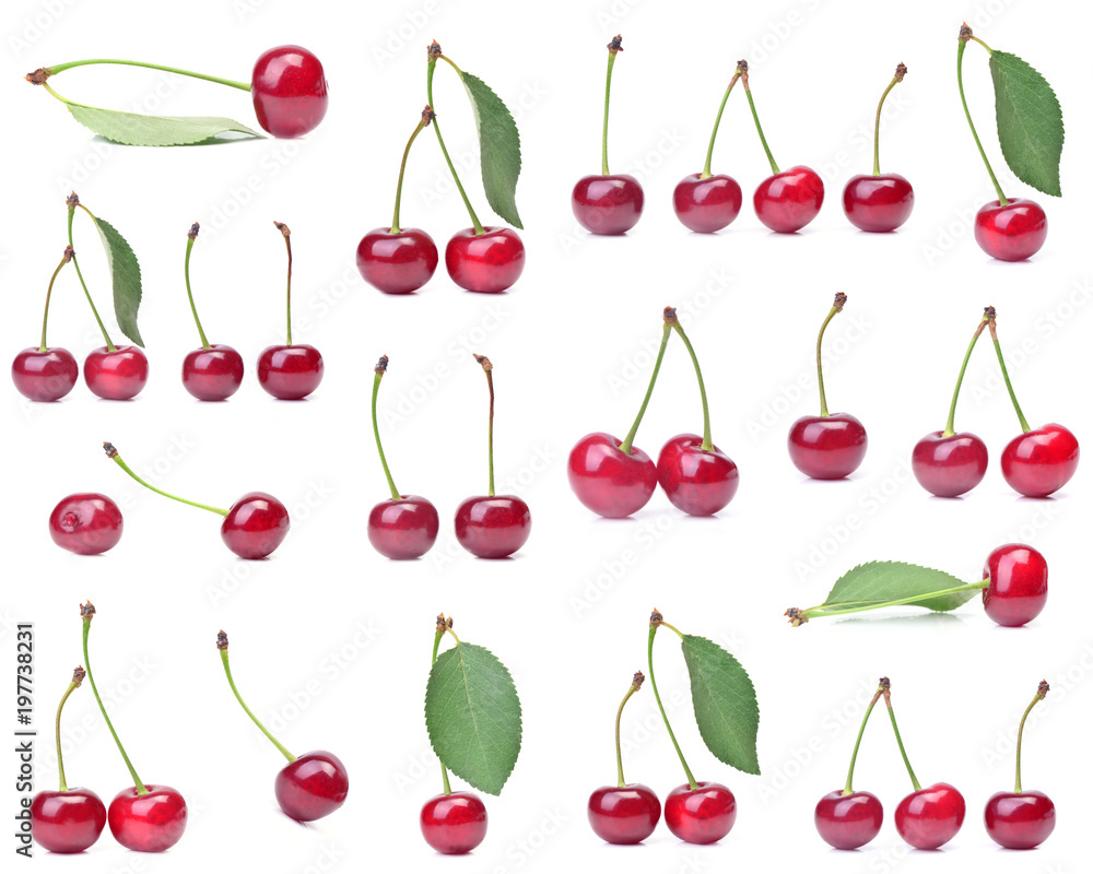 Fresh cherry collection Fresh cherry collection
