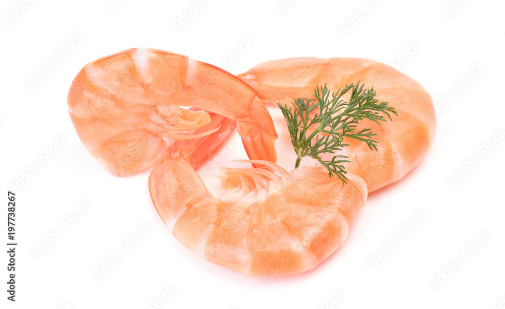 Shrimp on a white background