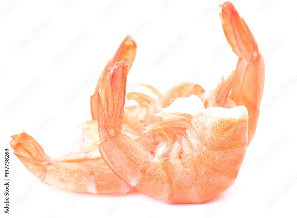 Shrimp on a white background Shrimp on a white background