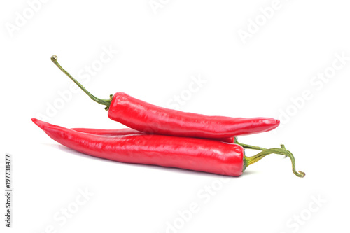 Chili pepper