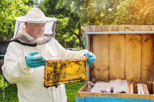 beekeeper in sunny summer day