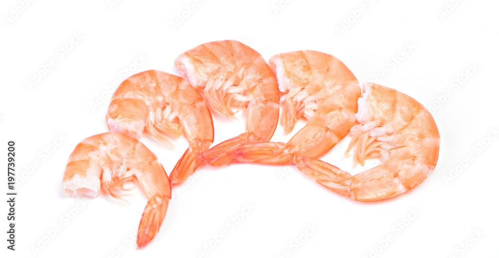 Shrimp on a white background Shrimp on a white background