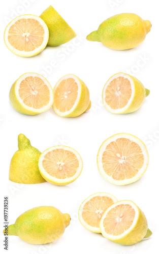 Lemon collection on a white background