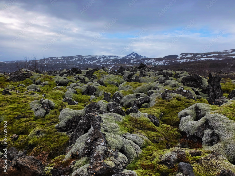 lava fields in Iceland