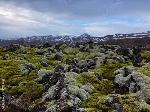 lava fields in Iceland