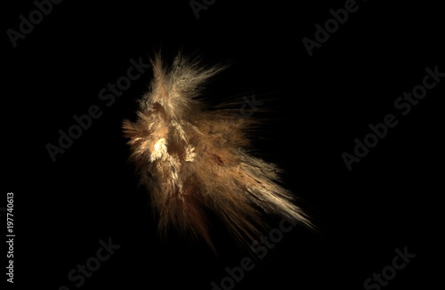 fractal illustration of combustion