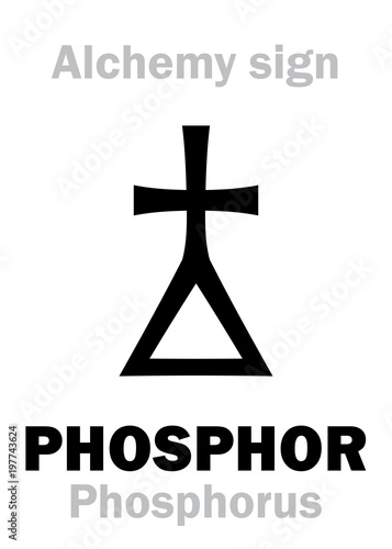 Alchemy Alphabet: PHOSPHOR (Phosphorus, Phosphorus mirabilis, Phosphorus igneus), chemical phosphorescent noctilucous substance, eq.: φωσφορος (greek: light carrying, luminous). Chemical formula=[P].