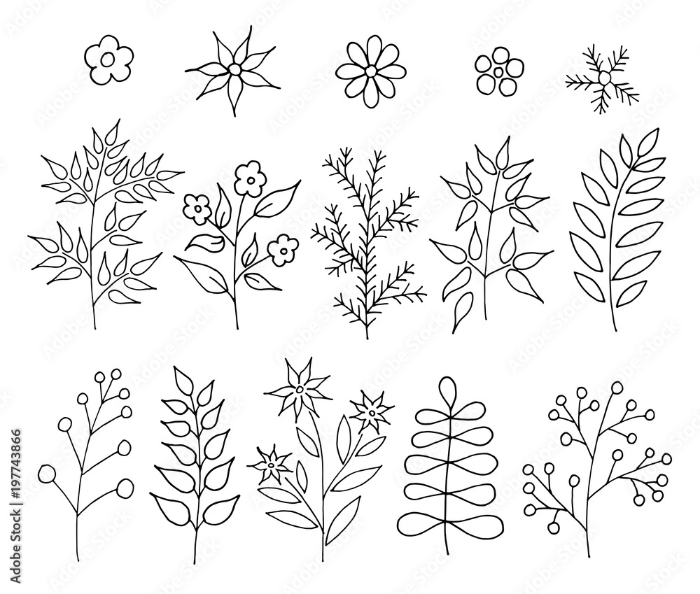 A set of hand-drawn doodle cartoon plants. Vector floral design elements