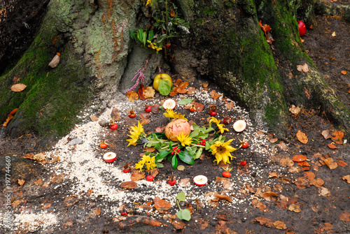 Pagan altar and spiral works outside next to a tree. photo
