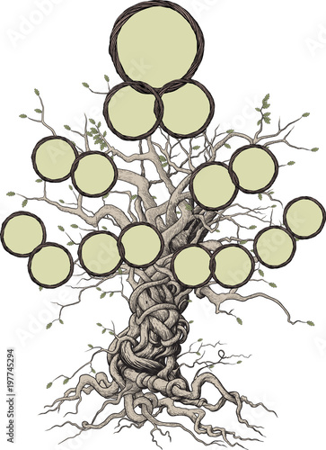 family tree