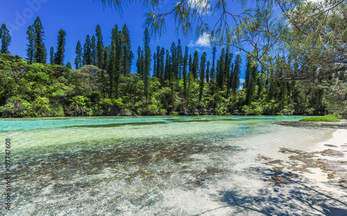 Isle of Pines (L'Île-des-Pins), New Caledonia