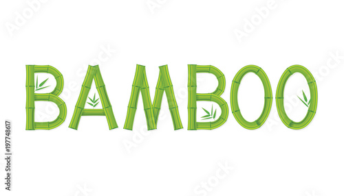 Vector illustration of bamboo text design on white background.