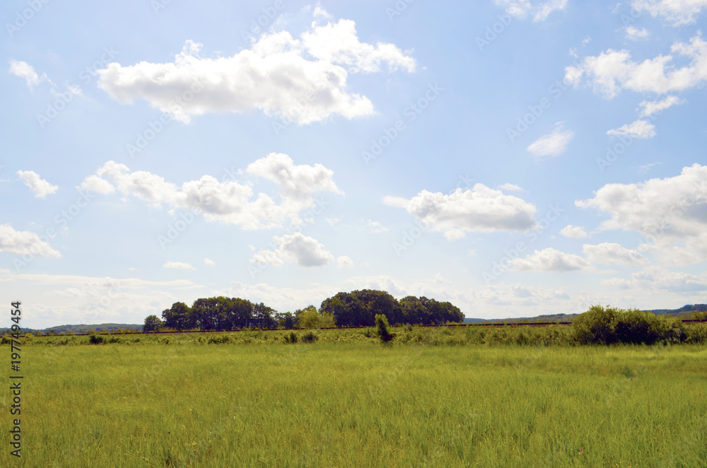 Meadows and trees on the Baltic Sea Island Usedom, Germany, under a blue sky with white clouds and a railroad embankment at the horizon Meadows and trees on the Baltic Sea Island Usedom, Germany, under a blue sky with white clouds and a railroad embankment at the horizon