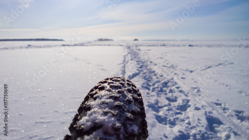 Mountain Bike Tyre on Lake Ice in Winter