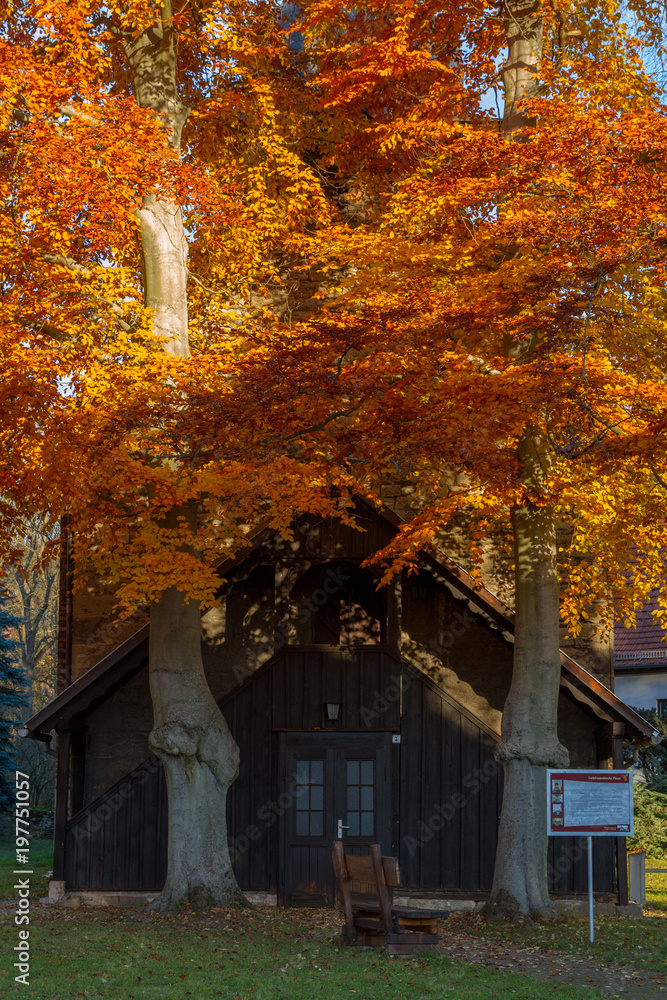 Thüringer Wald im Herbst Liebfrauenkirche Plaue Thüringer Wald im Herbst Liebfrauenkirche Plaue