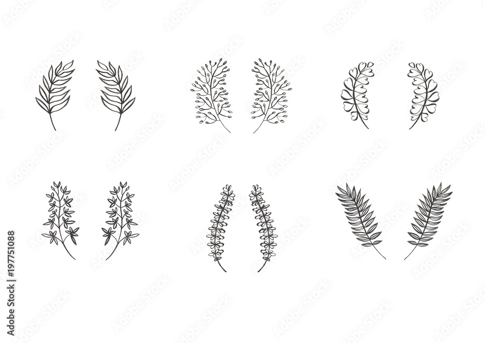 Set Contour of little decorative ear plants branch