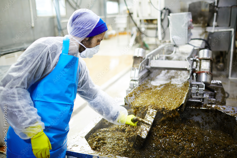 Seafood factory staff standing by production line and mixing seaweed salad in huge container with special handtool Seafood factory staff standing by production line and mixing seaweed salad in huge container with special handtool