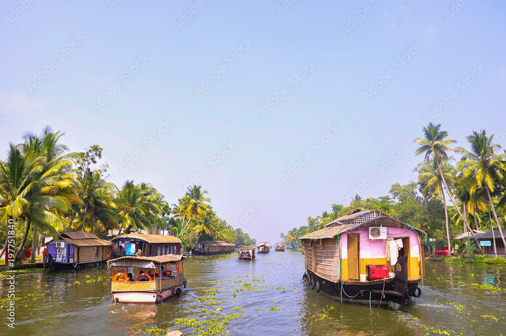 Houseboats in backwaters