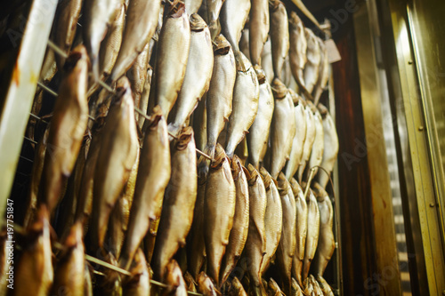 Several rows of herrings hanging on wires while being smoked in special oven