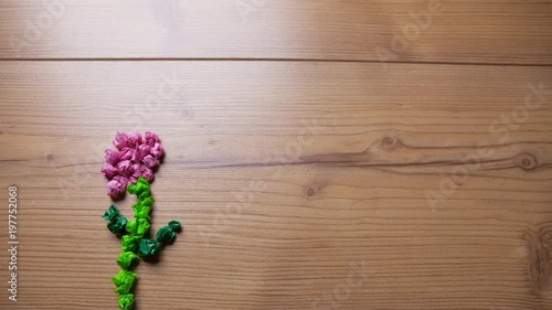 stop motion of a growing a flower and a butterfly